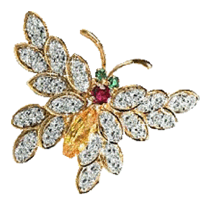 Gif animé bijoux broche